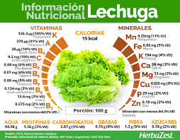 Informacion Nutricional De La Lechuga En 2020 Planes De Alimentacion Saludables Imagenes De Alimentacion Saludable Alimentos Saludables