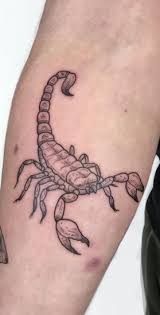 Below are the 30+ different types of women's breast tattoo designs with pictures from which you can gather inspiration before you choose to get it done. 65 Trendy Scorpion Tattoos Designs And Ideas Tattoo Me Now