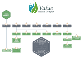 Value Medical Complex Organisational Chart