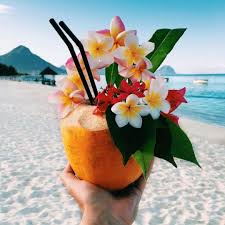 Coconut Water Frangipani Flowers Vacation Travel Tropics Tropical Beach Summer Drinks Refreshing Cocktails Infused Summertime Tropical Summer Vibes
