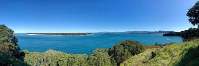 The environmental impacts of wild actinidia have led it to be listed as a total control pest plant in the environment bay of plenty regional pest management strategy. Bay Of Plenty Regional Council Pagina Inicial Facebook
