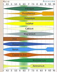 Phchartys0 Gardening Ph Chart Soil Ph Marijuana Plants