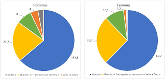 Combien de personnes auraient souffert ? Comment Les Francais Se Deplacent Ils En 2019 Resultats De L Enquete Mobilite Des Personnes Donnees Et Etudes Statistiques