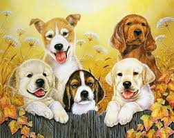 Jane Maday Kopek Hayvan Kartpostal