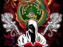  Prasetya Junior Juniorprasetya74 Profil Pinterest