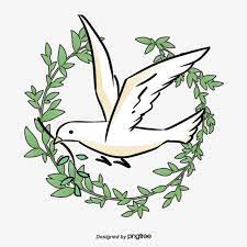 Peace Dove Pigeon Olive Branch Olive Png Transparent Clipart Image And Psd File For Free Download Peace Dove Nature Pictures Olive Branch