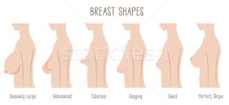 breast shape chart stock photo kaori takehana norwayblue