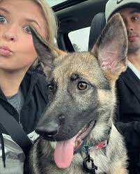 cats are back 🐾😼💙