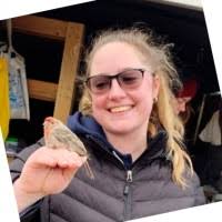 60+ "B Lewis" profiles