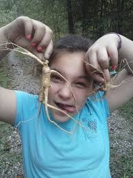 Somebody posted they wanted to learn how to find Ginseng. This is a small  book I wrote