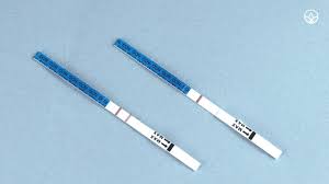 One Step Early Detection Pregnancy Test Strips 03 Pcs