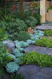 100 Succulent Garden Ideas For Uniqueness And Intrigue In Your Garden Succulent Garden Design Succulent Landscape Design Rock Garden Landscaping