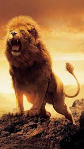 Image result for roar lion of judah robert gay lyrics