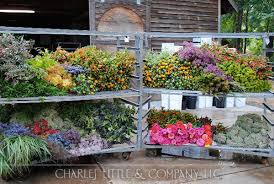 Maybe you would like to learn more about one of these? Charles Little And Co United States Oregon Eugene Slow Flowers