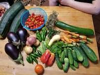 Zero Waste Cooking Class