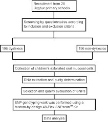 Dcdc2 Gene Polymorphisms Are Associated With Developmental
