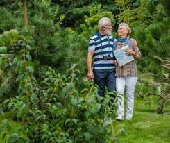 Pasul facut de christian tour pare surprinzator pentru mediul romanesc de turism, confruntat in ultimii ani cu destule dificultati. Christian Tour Cererile Pentru VacanÈ›ele Destinate TuriÈ™tilor TrecuÈ›i De 55 De Ani Au Crescut Cu 400 Capital