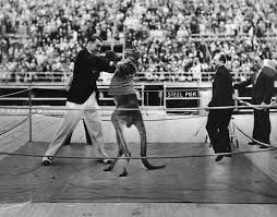 The Prolific and Upsetting History of Humans Boxing Kangaroos ...