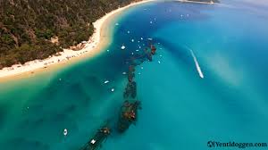 Tangalooma Snorkel The Wrecks Day Cruise | Brisbane Tickets - Start From  2.492.143 Vnd