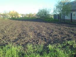 Kak Oformit Zemelnyj Uchastok V Sobstvennost Po Nasledstvu Posle Arendy Yuridicheskie Sovety