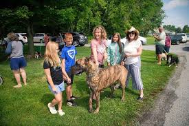 Dog gone! Central Hospital's annual Pet Fair fundraiser is the cat's meow