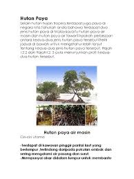 Maybe you would like to learn more about one of these? Hutan Paya