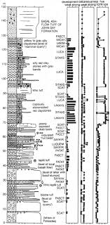 Standard size brick 2 course face brick brickwork dimensions note all dimensions in mm format size: John Day Fossil Beds Nm Geology And Paleoenvironments Of The Clarno Unit Chapter 3