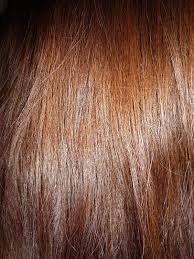 And the hair color is…brown with blonde highlights, also known as bronde. Brown Hair Wikipedia