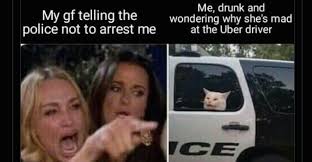 These White Cat Memes Are Peak Internet Humor Tbh Details