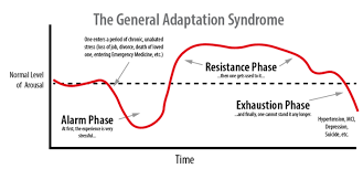 General Adaptation Syndrome Charlies Magazines
