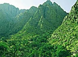 Egypt S Largest Natural Woodland About Islam