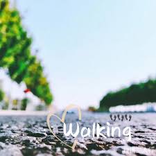 Listener Numbers, Contacts, Similar Podcasts