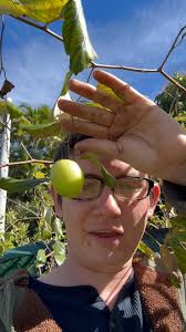 Let's welcome our new members! Share your garden with our community ♥️👩‍🌾  Diana Tran, Juan Rivera, Andre' Caldwell, Phan J Dung, Gaurav Gupta,  Junjira Pumpijit, Mika Ablimit, Bridget Stanley, Kimberly Truong, Tal