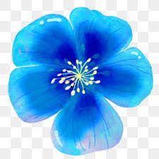 Blue Flower Flower Decoration Png Transparent Clipart Image And Psd File For Free Download In 2020 Blue Flower Png Watercolor Flower Illustration Flower Illustration
