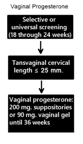 transvaginal ultrasound of the cervix ob images