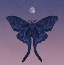 Cancers can be injustice collectors who, over time, accrue a lengthy body of negative memories that haunt them and stir up negative emotions every time they are recalled. Full Moon In Cancer And Hatching Shells Astrology Of 12 23 12 29 Monarch Astrology