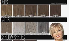 Noriko Wigs Color Chart Garnier Color Sensation Review