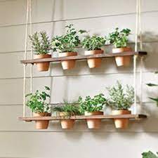 The natural greenery will enhance the look of your kitchen and. Pin On Garden Yard