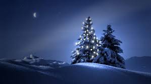 1680 x 1050 jpeg 365 кб. Clearly Christmas Tree At Night Wallpapers Hd Desktop And Mobile Backgrounds