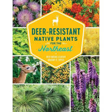 These 10 plants they prefer to avoid for many reasons: Deer Resistant Native Plants For The Northeast By Ruth Rogers Clausen Gregory D Tepper Paperback Target
