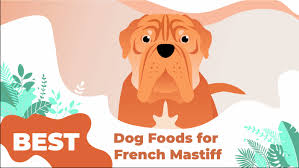 Best Dog Food For French Mastiffs 2019 Reviews Ratings