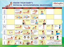 baby development chart kozen jasonkellyphoto co