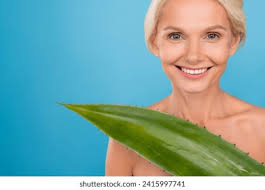 1+ Thousand Lady Aloe Vera Royalty-Free Images, Stock Photos & Pictures