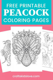 Peacock coloring pages for adults printable best of. Free Printable Peacock Coloring Pages Crafts Kids Love