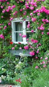 pour le plaisir des yeux beaux jardins idees jardin joli jardin
