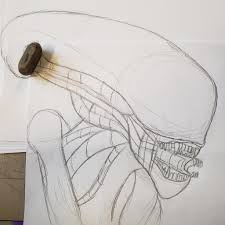 The xenomorph became the focal point of the development process, and the team had few comparable examples to draw inspiration from. Realistic Xenomorph By Warriorcatdragon On Deviantart