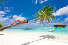 Nee, dit keer verkopen de brochures geen onzin. Hochzeitsreise Und Urlaub Auf Den Seychellen