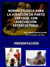 Existem dois tipos de parto: Norma Tucnica De Parto Vertical Parto Salud Publica