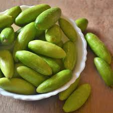 Tindora or dondakaya chutney is one of the most vital side dishes of india. Kundru Vegetable Benefits Health Benefits