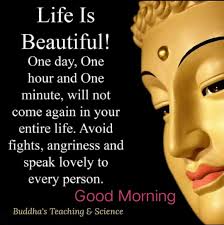 Life Is Beautiful Wellbeingquotes Wellbeing Life Blisslife Buddha Quotes Inspirational Buddhism Quote Morning Inspirational Quotes